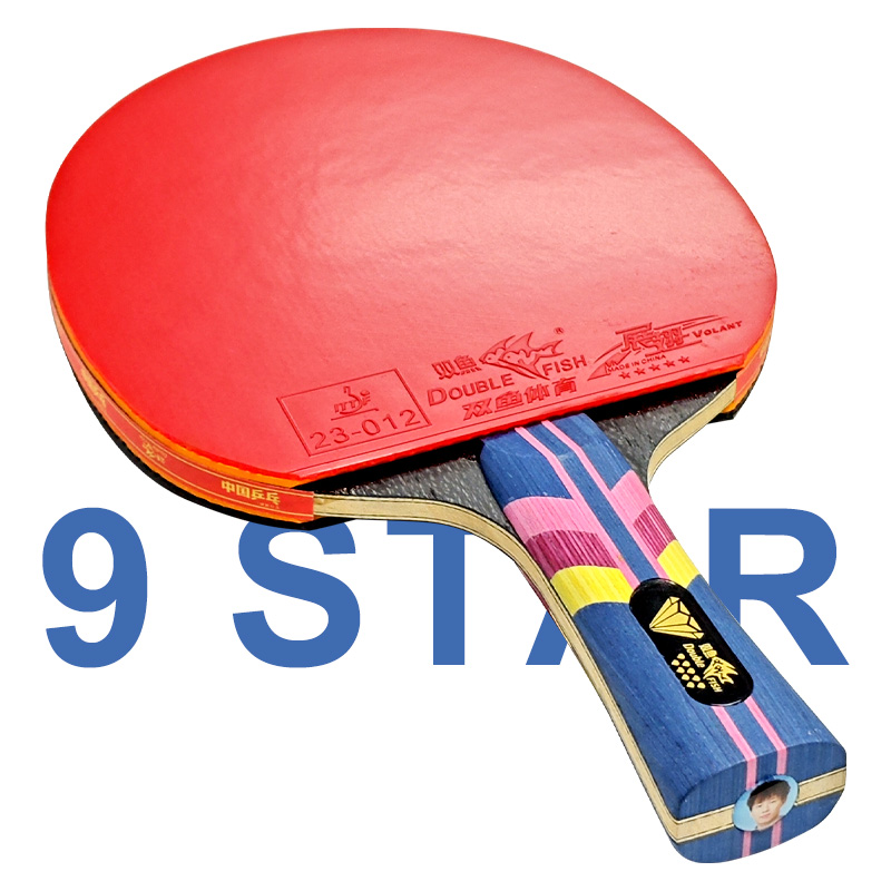 DOUBLE FISH Tischtennisschläge – Table Tennis Eleven Bewertung und Preis