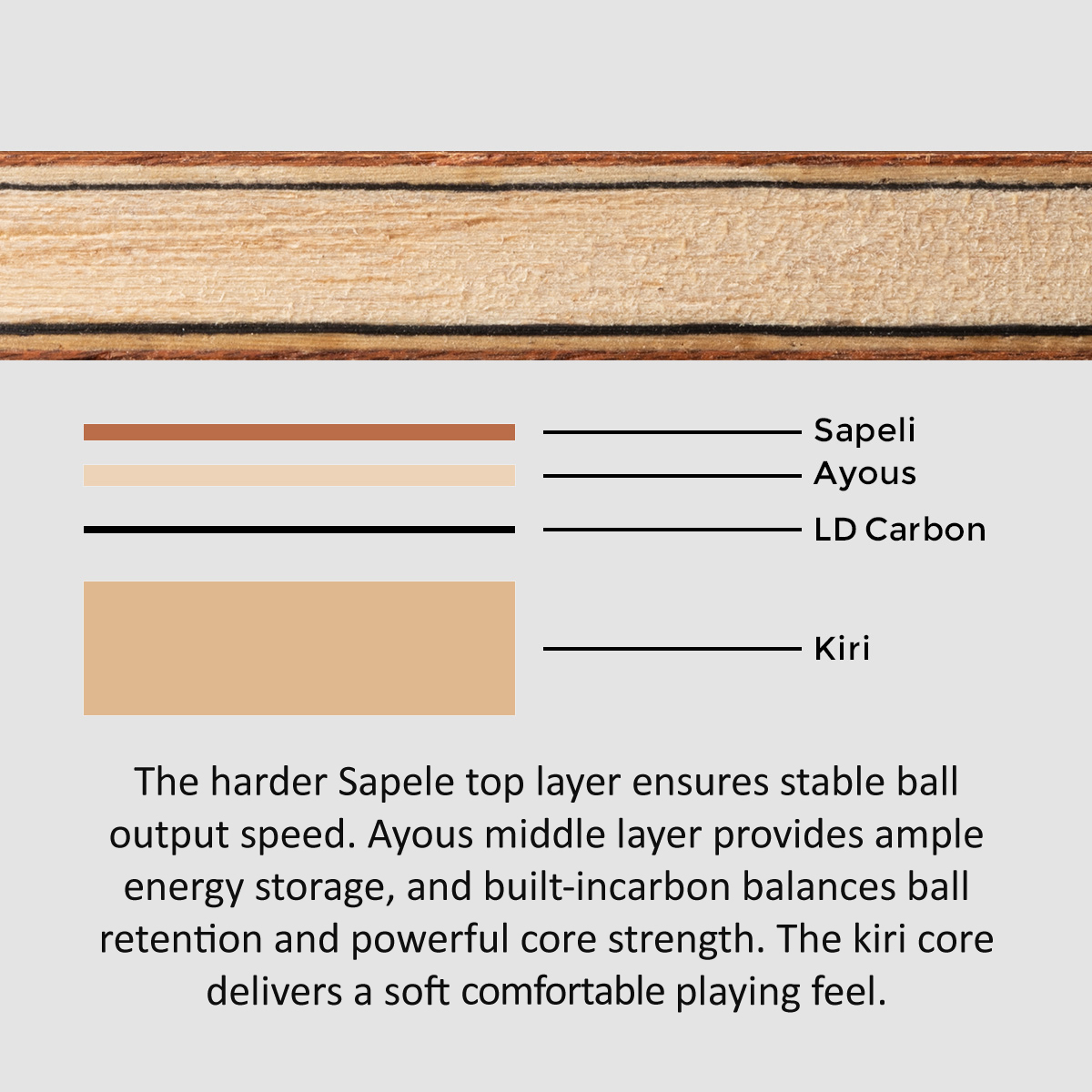 SANWEI TOKSPIN Sapele Carbon T – Table Tennis Custom Bat Bewertung und Preis